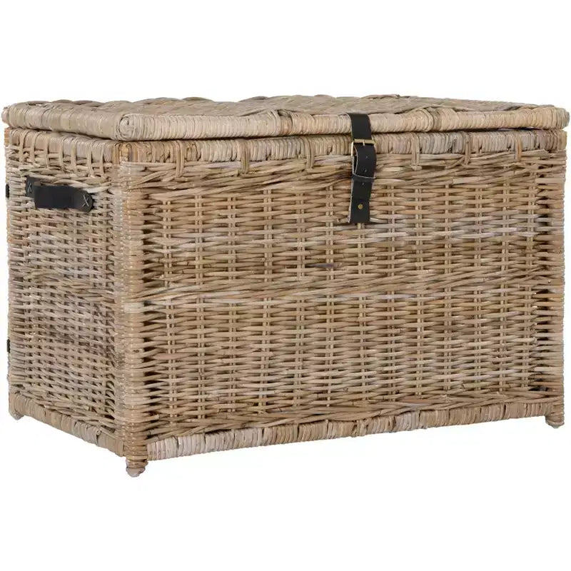Baule portaoggetti in vimini da 35